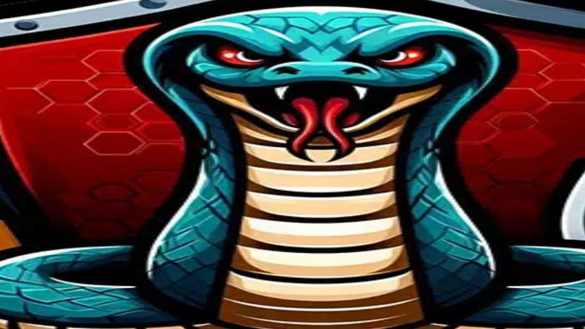 دانلود فیلتر شکن قوی مار Snake VPN