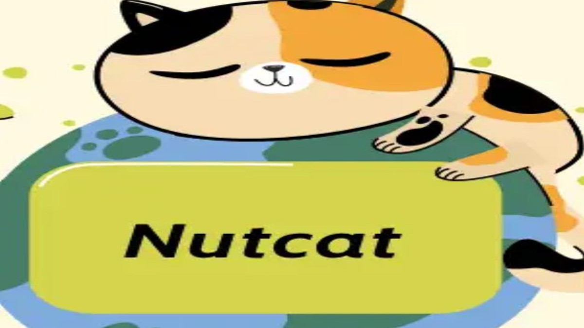 دانلود و نصب فیلتر شکن قوی گربه Nutcat VPN