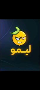 دانلود و نصب فیلتر شکن پرقدرت لیمو Lemon VPN