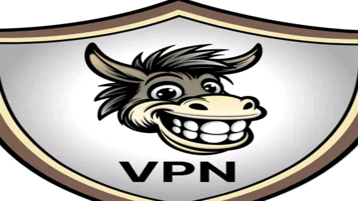 دانلود وی پی ان خر گذر Mule VPN دسترسی آنلاین