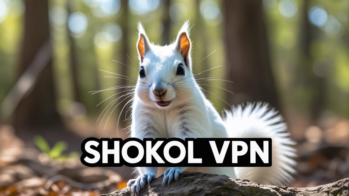قویترین فیلتر شکن ShokolVPN