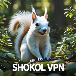 قویترین فیلتر شکن ShokolVPN