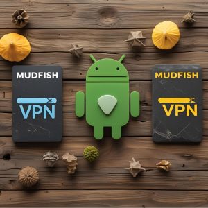 Mudfish VPN کامل